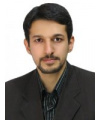 سعید امیر